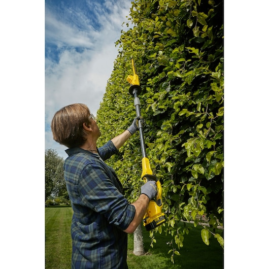 STANLEY SFMCPH845M1 pole hedge trimmer in use, person trimming tall green hedge outdoors.