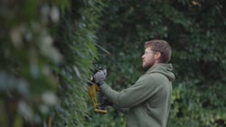 Video 18V STANLEY® FATMAX® V20 50cm Hedge Trimmer - 2Ah Kit